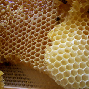 Raw Honey In Honeycomb Of Wildflowers 600g