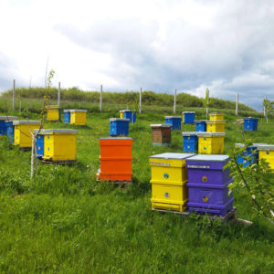 Absolutely Pure Raw Unpasteurized Honey