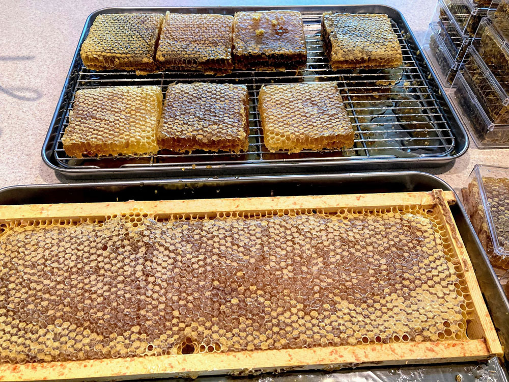 Raw Comb Honey. 100% Pure Raw Natural Honeycomb Filled With Pure Honey Raw  Superfood -  Israel